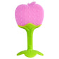 Colourful Fruit Teething Toys